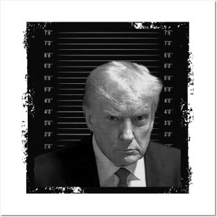 Trump Mugshot Posters and Art